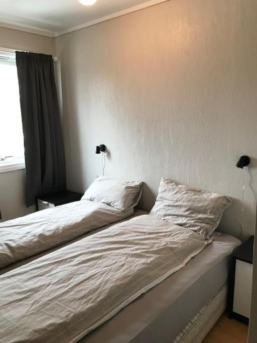 Comfortable 3 Bedroom Apartment On One Floor. Σαντεφιόρδ Εξωτερικό φωτογραφία